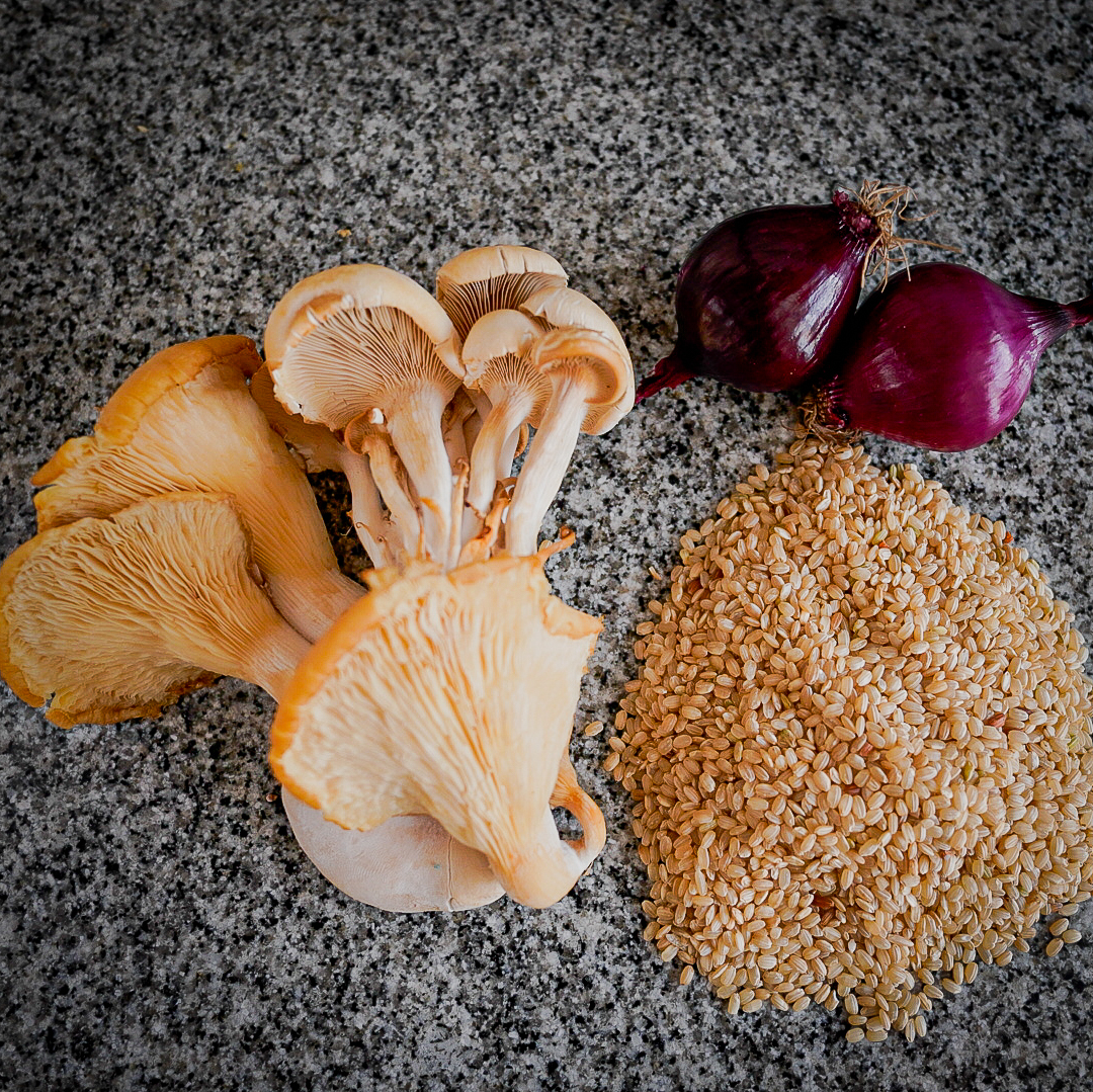 template by DevCRID http://www.devcrud.com/