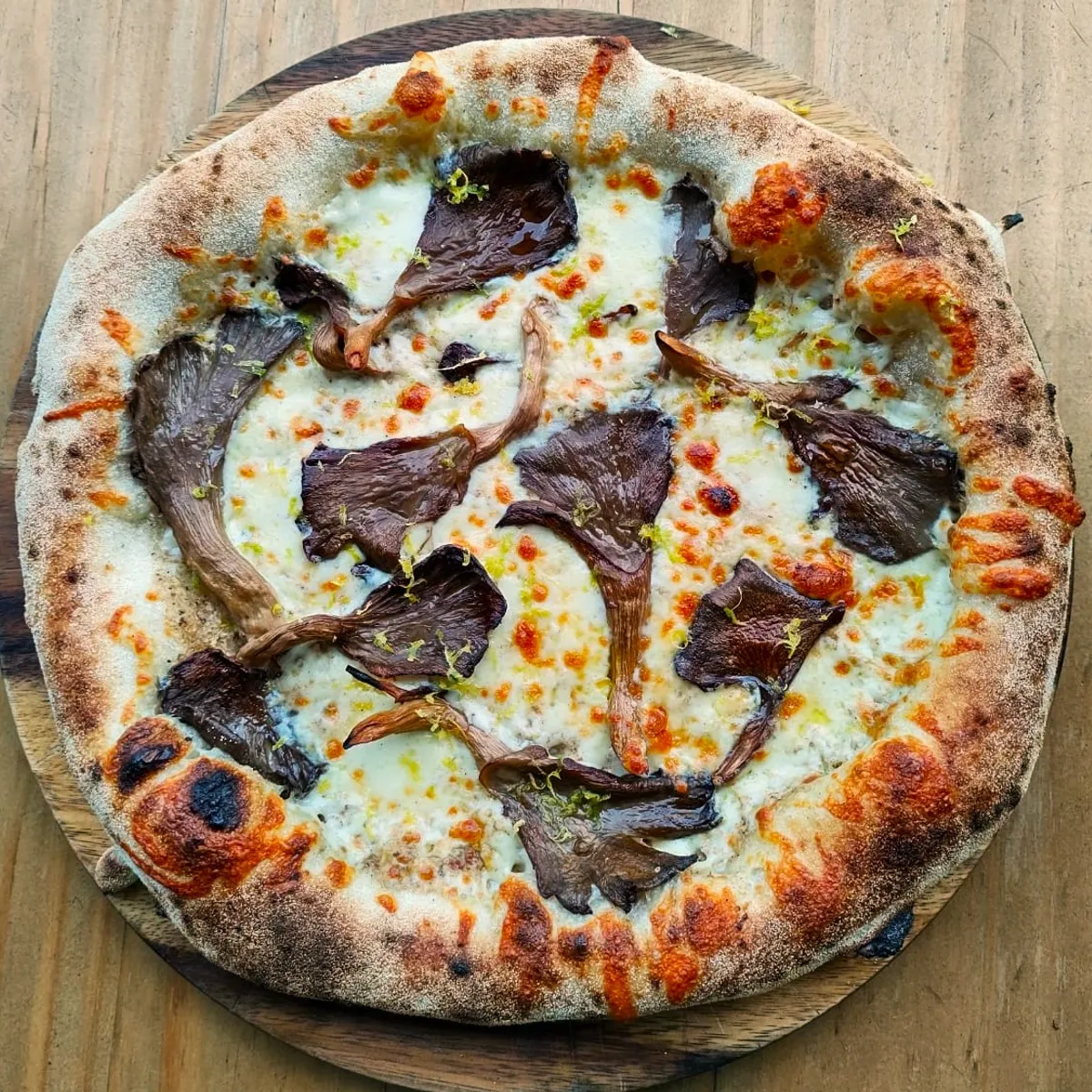 template by DevCRID http://www.devcrud.com/