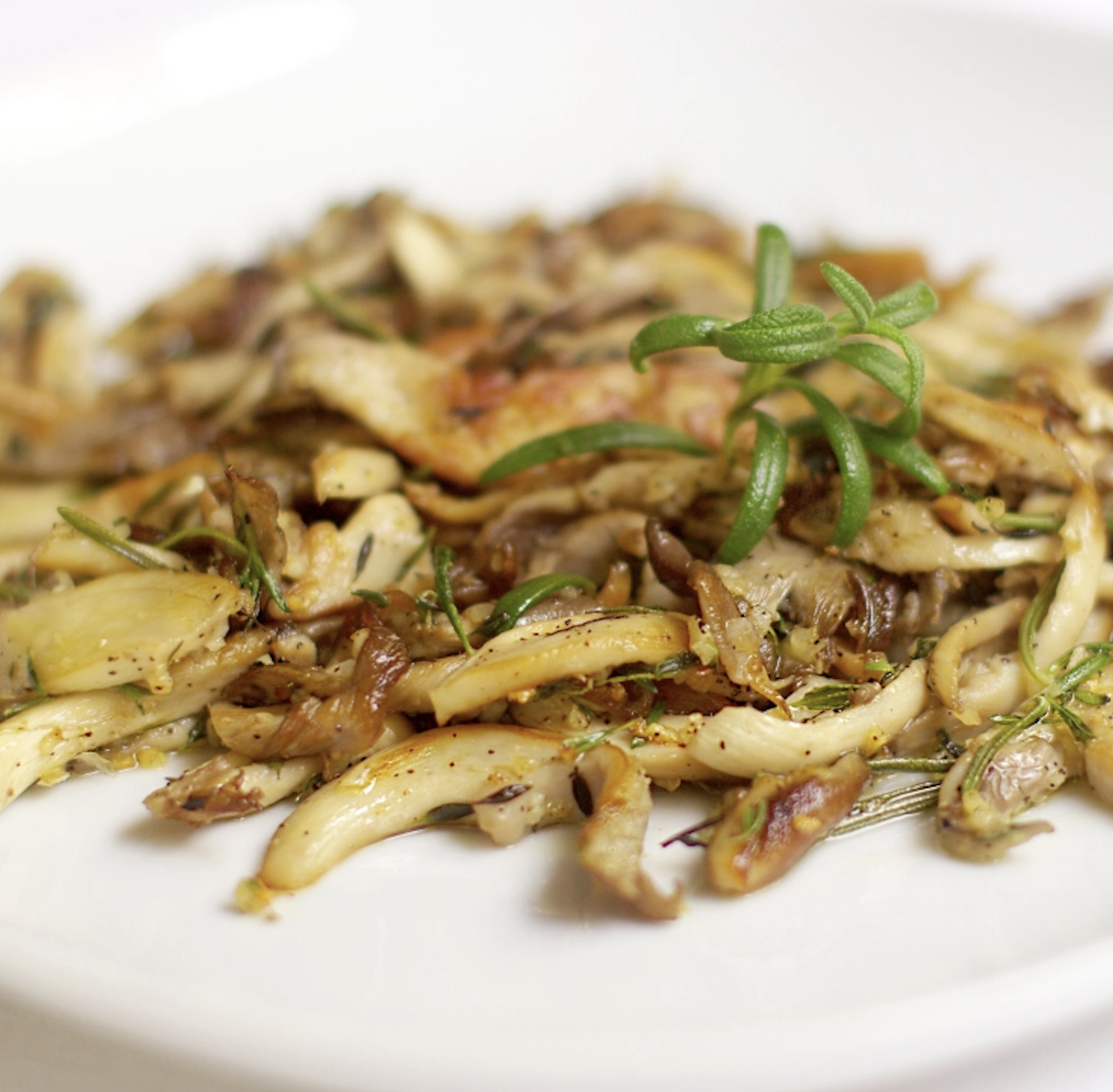 template by DevCRID http://www.devcrud.com/