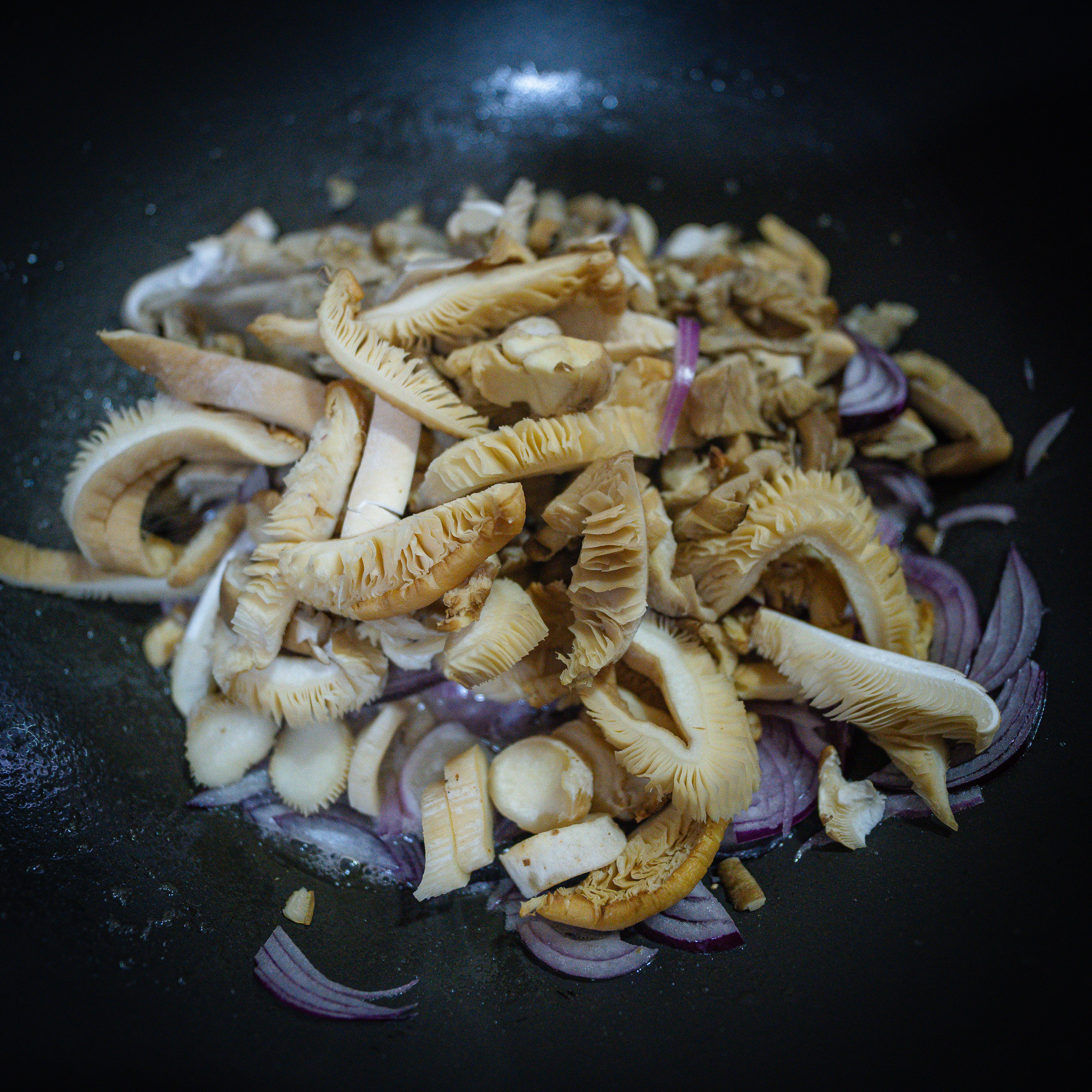 template by DevCRID http://www.devcrud.com/